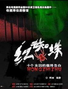 电视剧红蜘蛛,权谋与爱情的纠葛